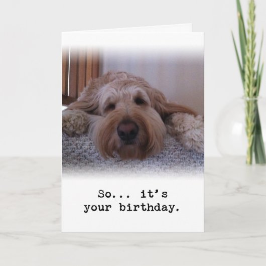 Also... Es ist dein Geburtstag Karte (Vorderseite)