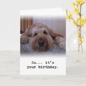 Also... Es ist dein Geburtstag Karte (Gelbe Blume)