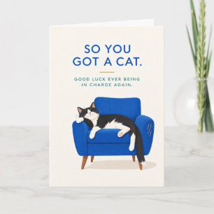 Also hast du eine lustige neue Katze als Haustier Karte