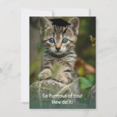 Also klatscht euch! Abschluss Kitten (Vorderseite)