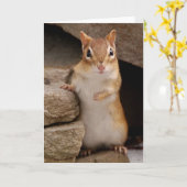Also Niedlicher, neugieriger Chipmunk Karte (Gelbe Blume)