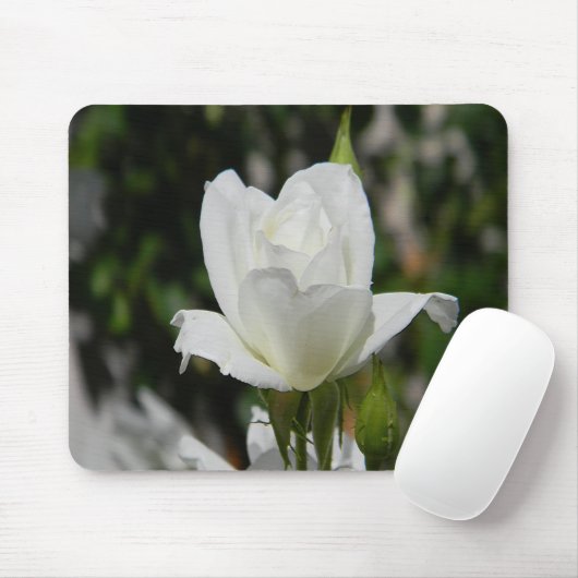 Also rein.... mousepad (Mit Mouse)