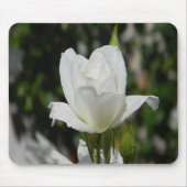 Also rein.... mousepad (Vorne)