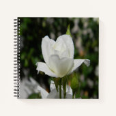 Also rein... notizblock (Vorderseite)