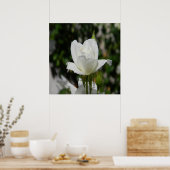 Also rein... poster (Küche)