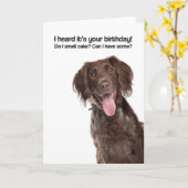 Also rieche ich Kuchen? Kann ich welche haben? (GW Karte (Gelbe Blume)