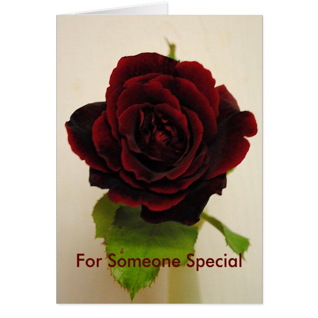 Also rot die Rose (Vorne)