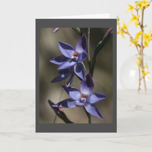 ALSO "SEHR SORRY" FÜR "DEINEN VERLUST" KARTE (Gelbe Blume)