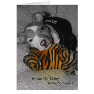 Also, so Niedlich zu werden!