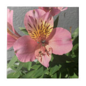 Alstroemeria Fliese (Vorderseite)