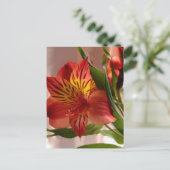 Alstroemeria Herbst Postkarte (Stehend Vorderseite)