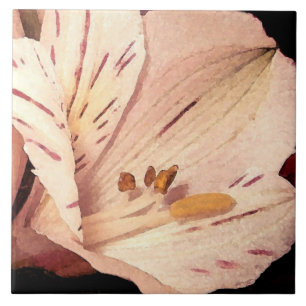 Alstroemeria in Blüte Fliese