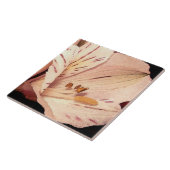 Alstroemeria in Blüte Fliese (Seite)