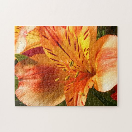 Alstroemeria in Orange Jigsaw Puzzle (Horizontal)