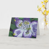 Alstroemeria Karte (Gelbe Blume)