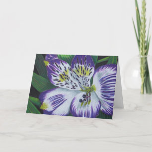 Alstroemeria Karte