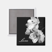 Alstroemeria Lily Liebe Magnet (Vorderseite/Rückseite)