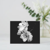 Alstroemeria Locarno Postkarte (Stehend Vorderseite)