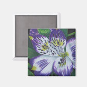 Alstroemeria Magnet (Vorderseite/Rückseite)