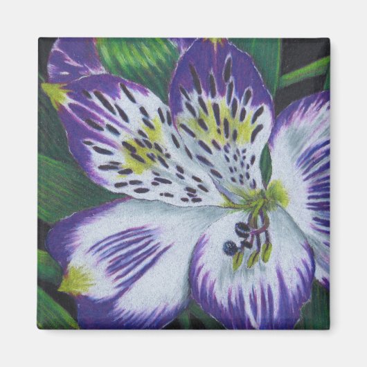 Alstroemeria Magnet (Vorne)