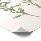 Alstroemeria Pelegrina Poster (Ecke)