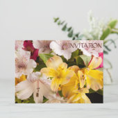Alstroemeria (Peruanische Lily) Einladung (Stehend Vorderseite)