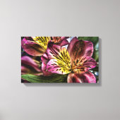 Alstroemeria Peruvian Lily Blume Canvas Print Leinwanddruck (Vorderseite)