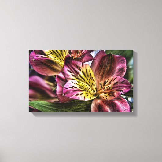 Alstroemeria Peruvian Lily Blume Canvas Print Leinwanddruck (Vorderseite)
