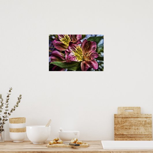 Alstroemeria Peruvian Lily Blume Poster drucken (Küche)