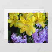 Alstroemeria und Lilacs Blume Postkarte (Vorne/Hinten)