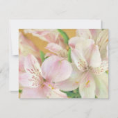 Alstromeria-Malerei Einladung (Rückseite)