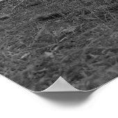 Alt Angel Resident pinup Model Lacey Poster (Ecke)