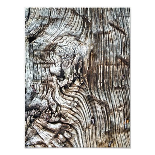 ALT ENGLAND FOTODRUCK (Vorne)