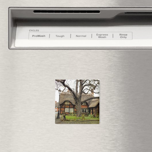 ALT ENGLAND MAGNET (In Situ (Geschirrspüler))