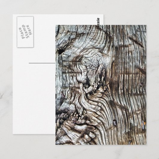 ALT ENGLAND POSTKARTE (Vorne/Hinten)