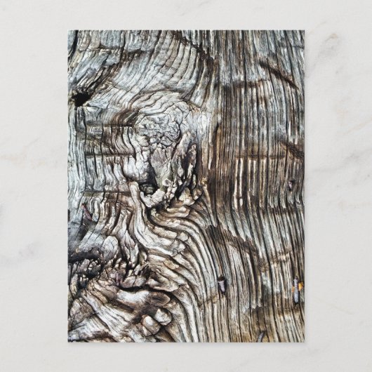 ALT ENGLAND POSTKARTE (Vorderseite)