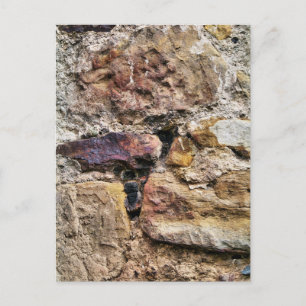 ALT ENGLAND POSTKARTE