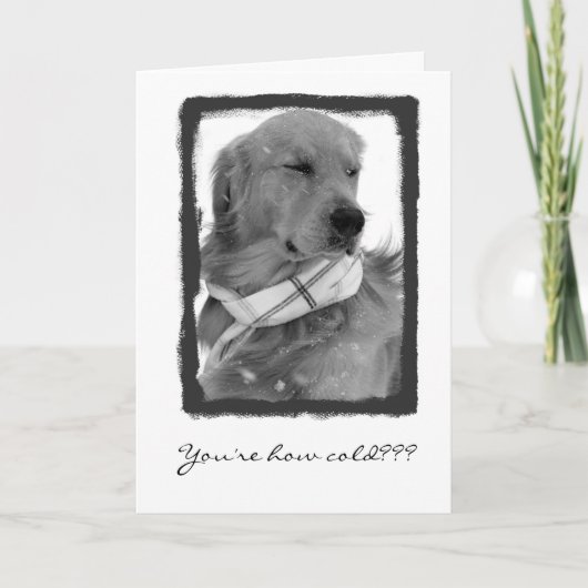 Alt! Karte (Vorderseite)