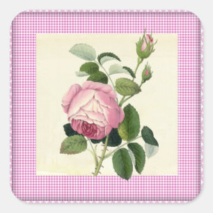 Alt modische Rosa Rose Linen Gingham Dekorative Quadratischer Aufkleber