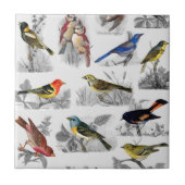 Alt modische Vögel Fliese