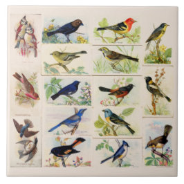 Alt modische Vögel Fliese