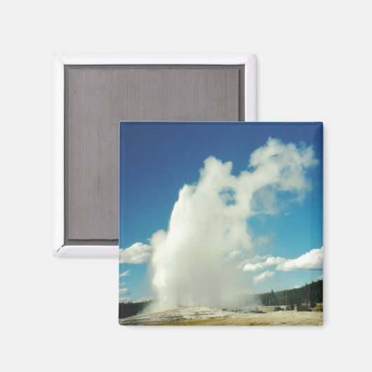 Alt treu magnet (Vorderseite/Rückseite)