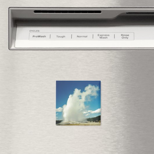 Alt treu magnet (In Situ (Geschirrspüler))