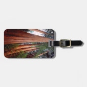 Alt wachsende Sequoia-Redwood-Bäume Gepäckanhänger (Vorderseite horizontal)