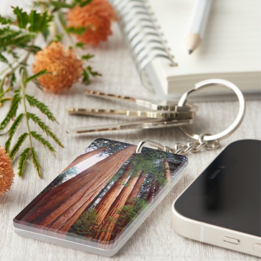 Alt wachsende Sequoia-Redwood-Bäume Schlüsselanhänger (Vorderseite rechts)