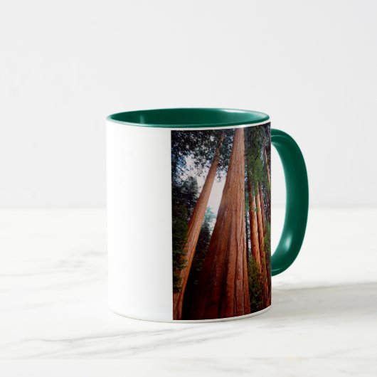 Alt wachsende Sequoia-Redwood-Bäume Tasse (VorderseiteRechts)