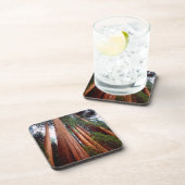 Alt wachsende Sequoia-Redwood-Bäume Untersetzer (Rechte Seite)