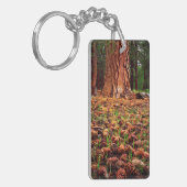 Alt-Wachstum Ponderosa Baum mit Kiefernkegeln Schlüsselanhänger (Vorderseite links)