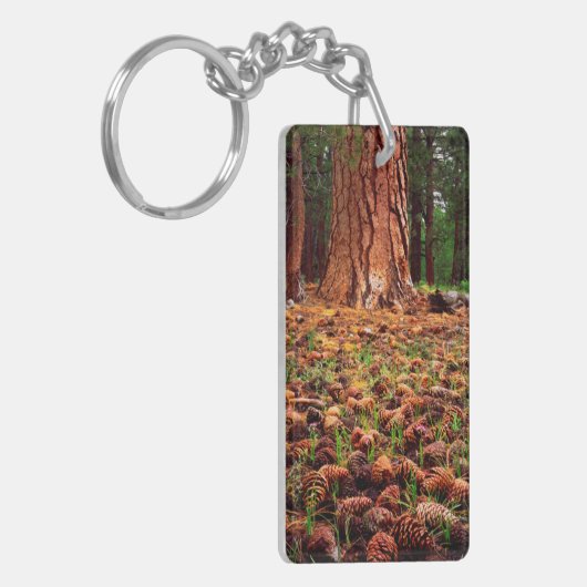 Alt-Wachstum Ponderosa Baum mit Kiefernkegeln Schlüsselanhänger (Vorderseite links)