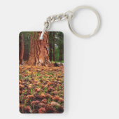 Alt-Wachstum Ponderosa Baum mit Kiefernkegeln Schlüsselanhänger (Rückseite)